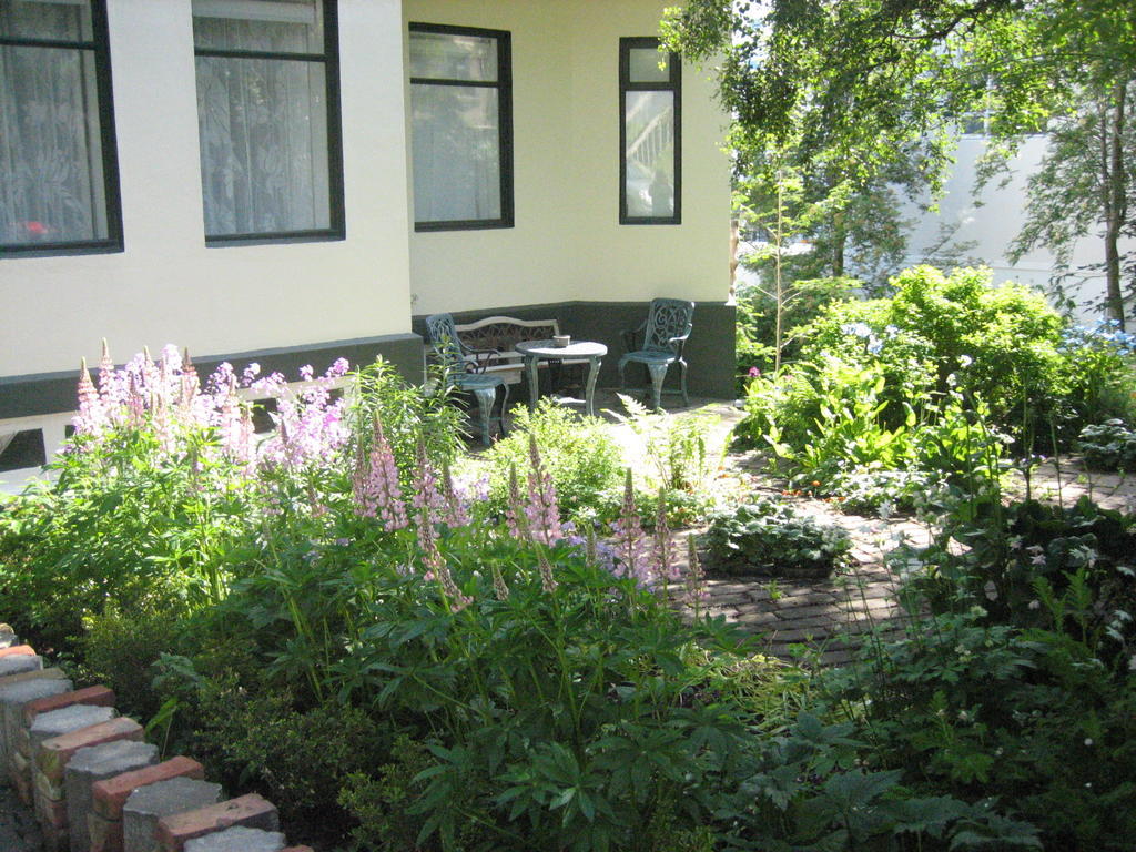 Guesthouse Solgardar Akureyri Dış mekan fotoğraf